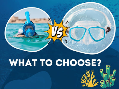 Full Face Dive [Snorkel] Mask Vs Regular: What to Choose?